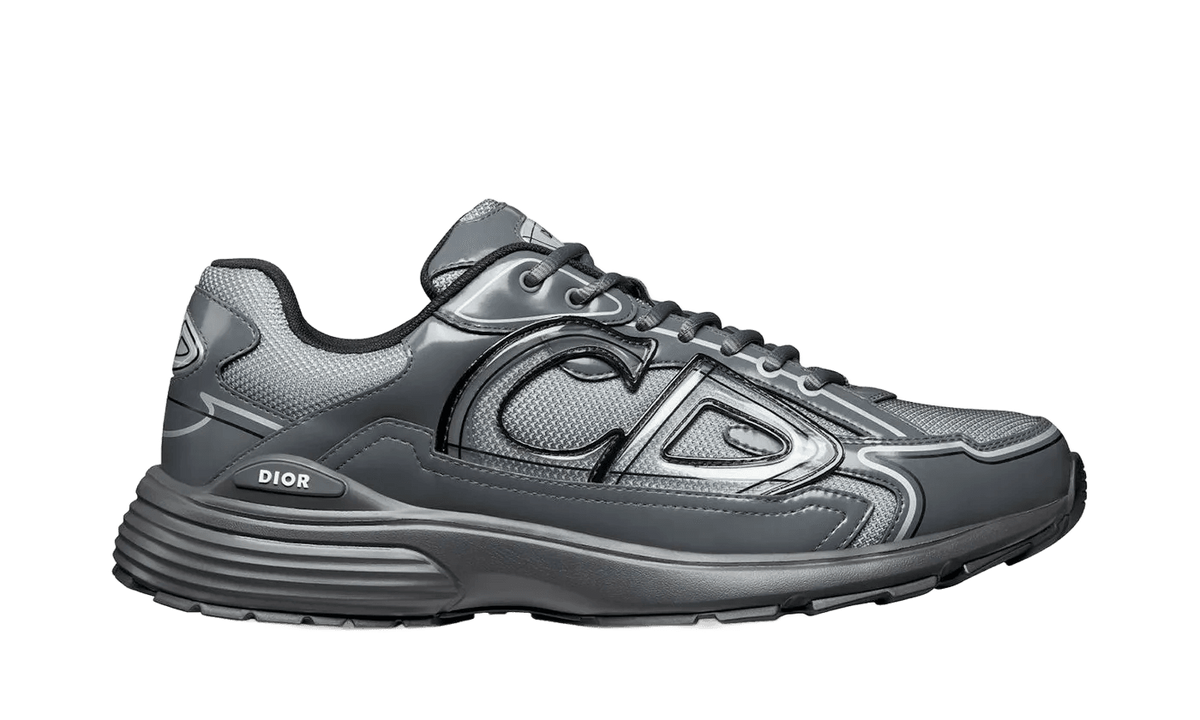 Dior B30 Light Gray - 3SN279ZEH-H968