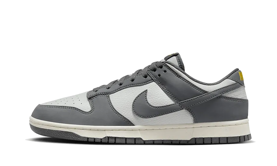 Nike Dunk Low Next Nature Iron Grey Lightning - FZ4621-001