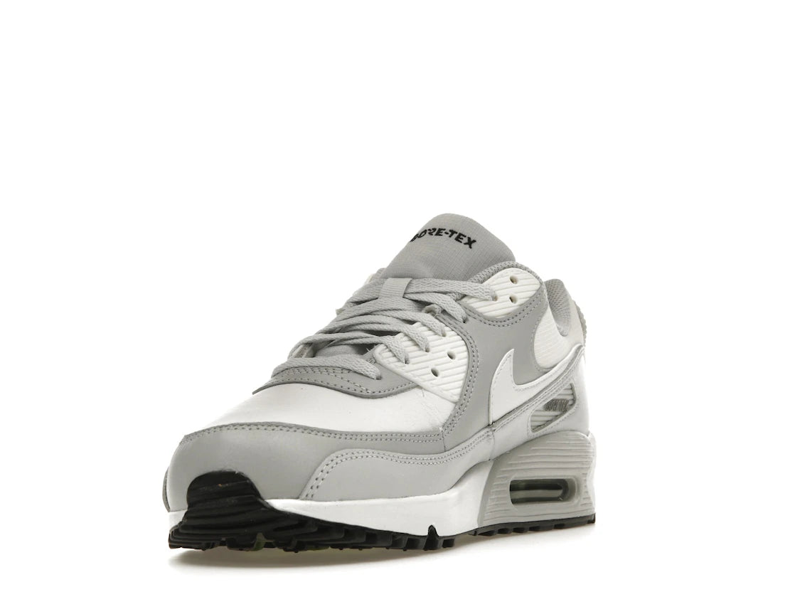 Nike Air Max 90 Gore-Tex Photon Dust - DJ9779-003