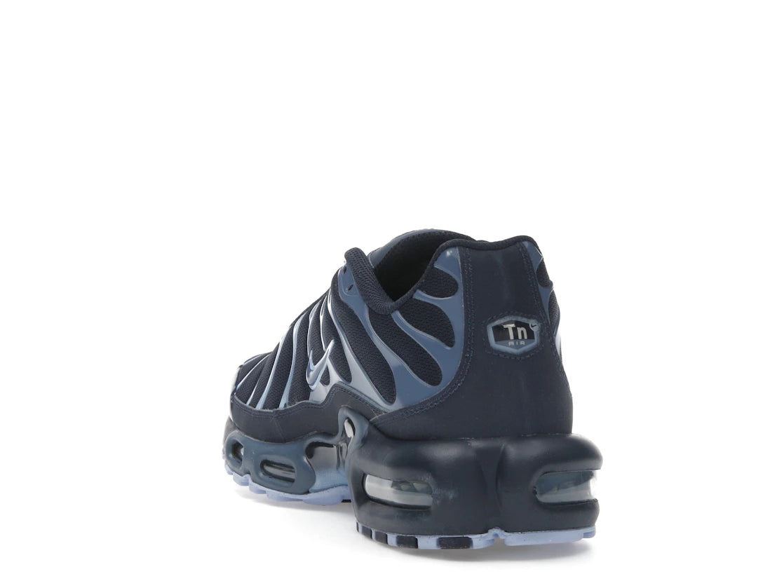 Nike Air Max Plus Obsidian Aluminum - IM6601-451