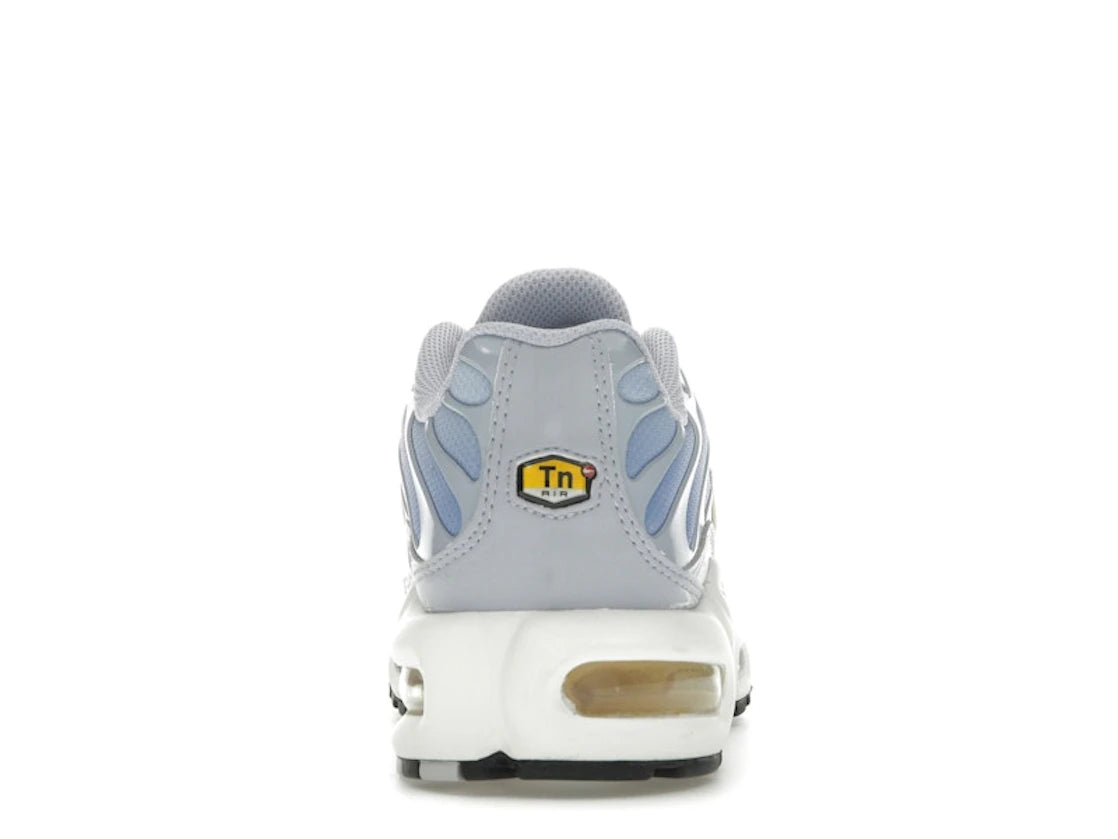 Nike Air Max Plus Daybreak - DZ3670-004