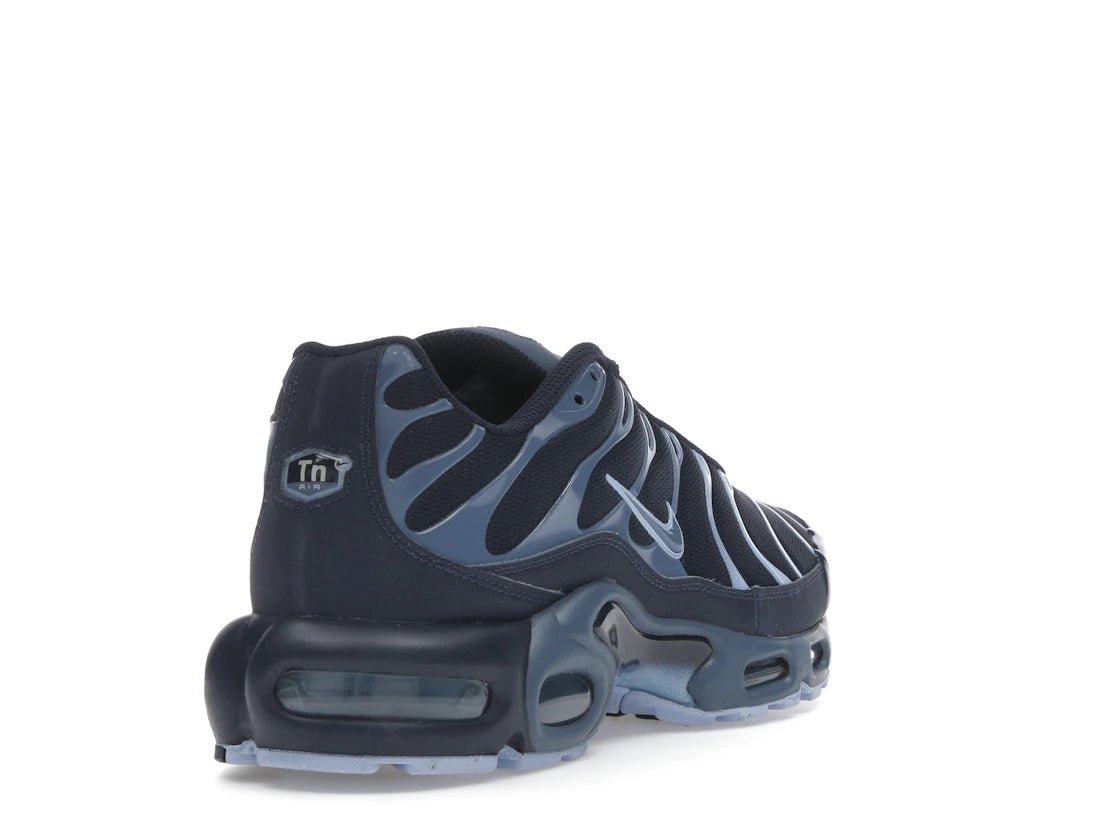 Nike Air Max Plus Obsidian Aluminum - IM6601-451