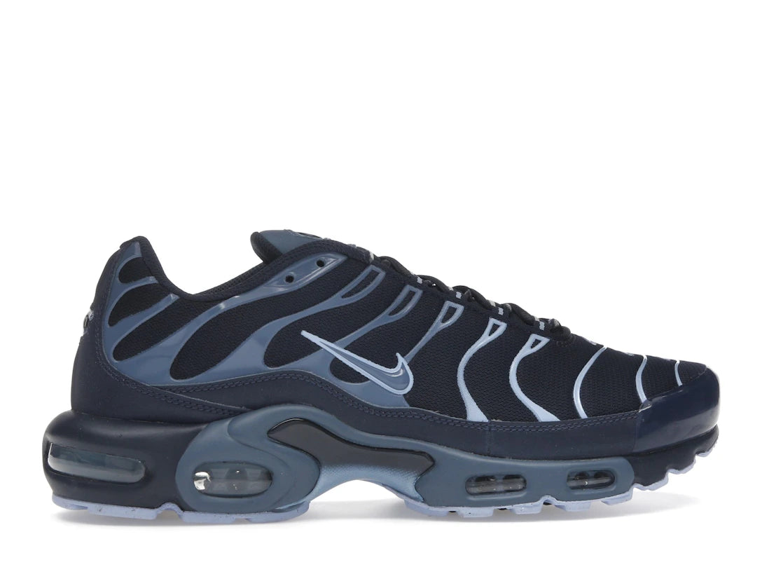 Nike Air Max Plus Obsidian Aluminum - IM6601-451