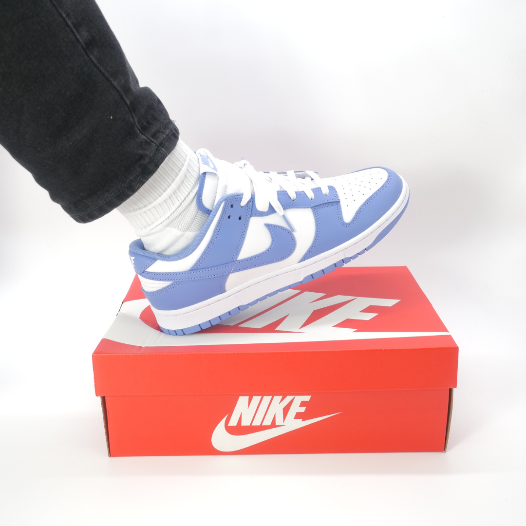 Nike Dunk Low Polar Blue