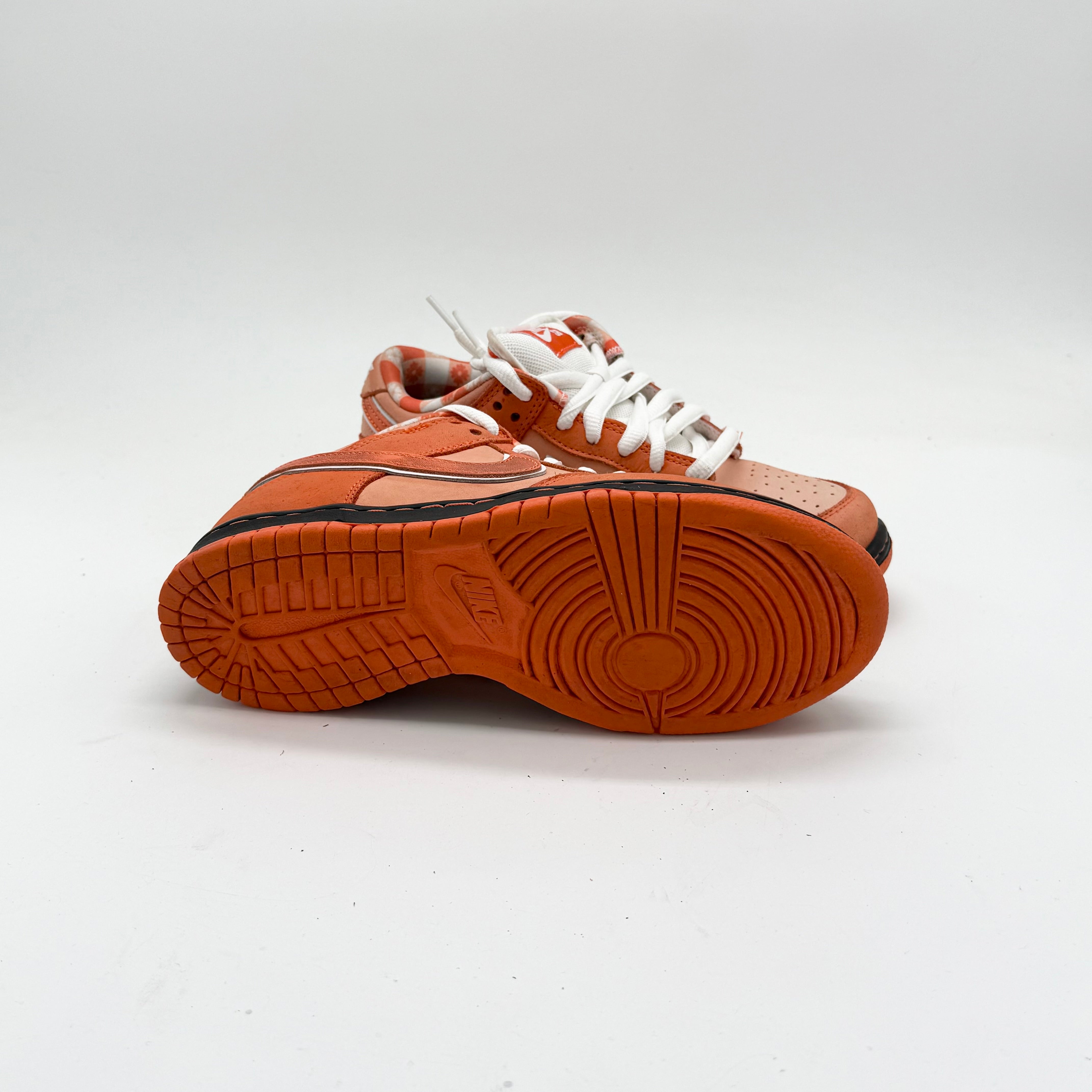 Nike Lobster Dunk EU 39