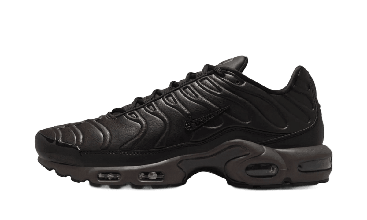 Nike Air Max Plus Premium Paris - HJ4519-200
