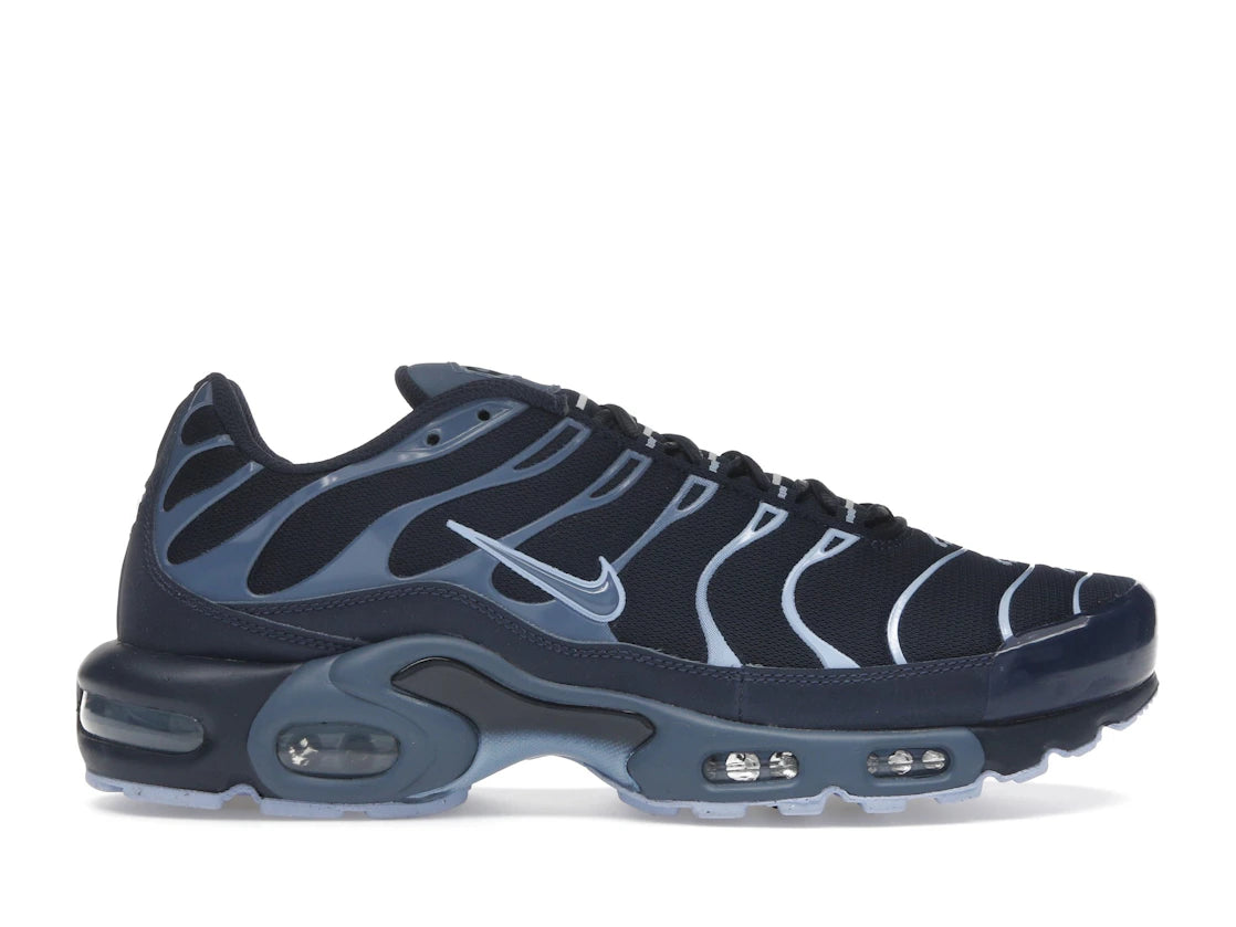 Nike Air Max Plus Obsidian Aluminum - IM6601-451
