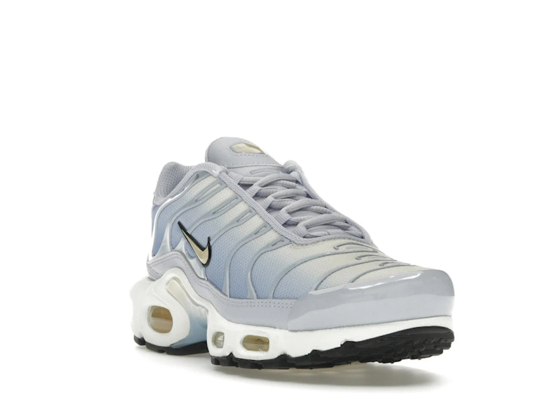 Nike Air Max Plus Daybreak - DZ3670-004