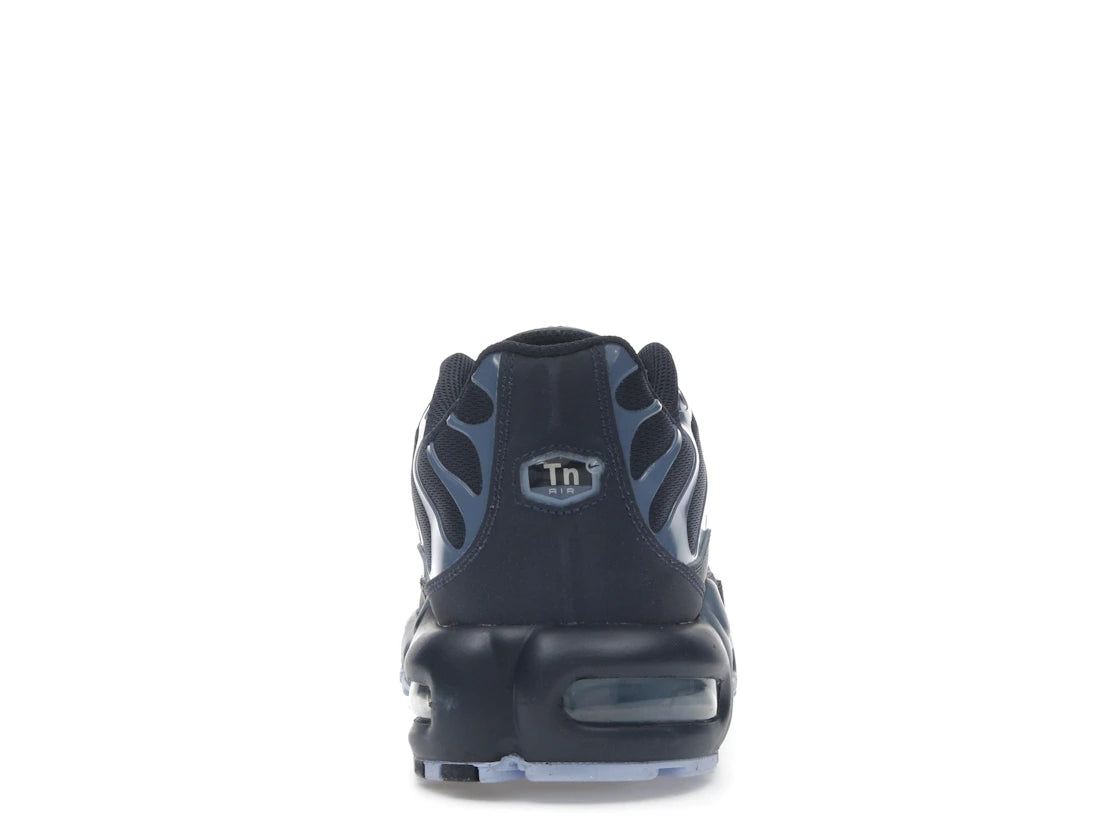 Nike Air Max Plus Obsidian Aluminum - IM6601-451