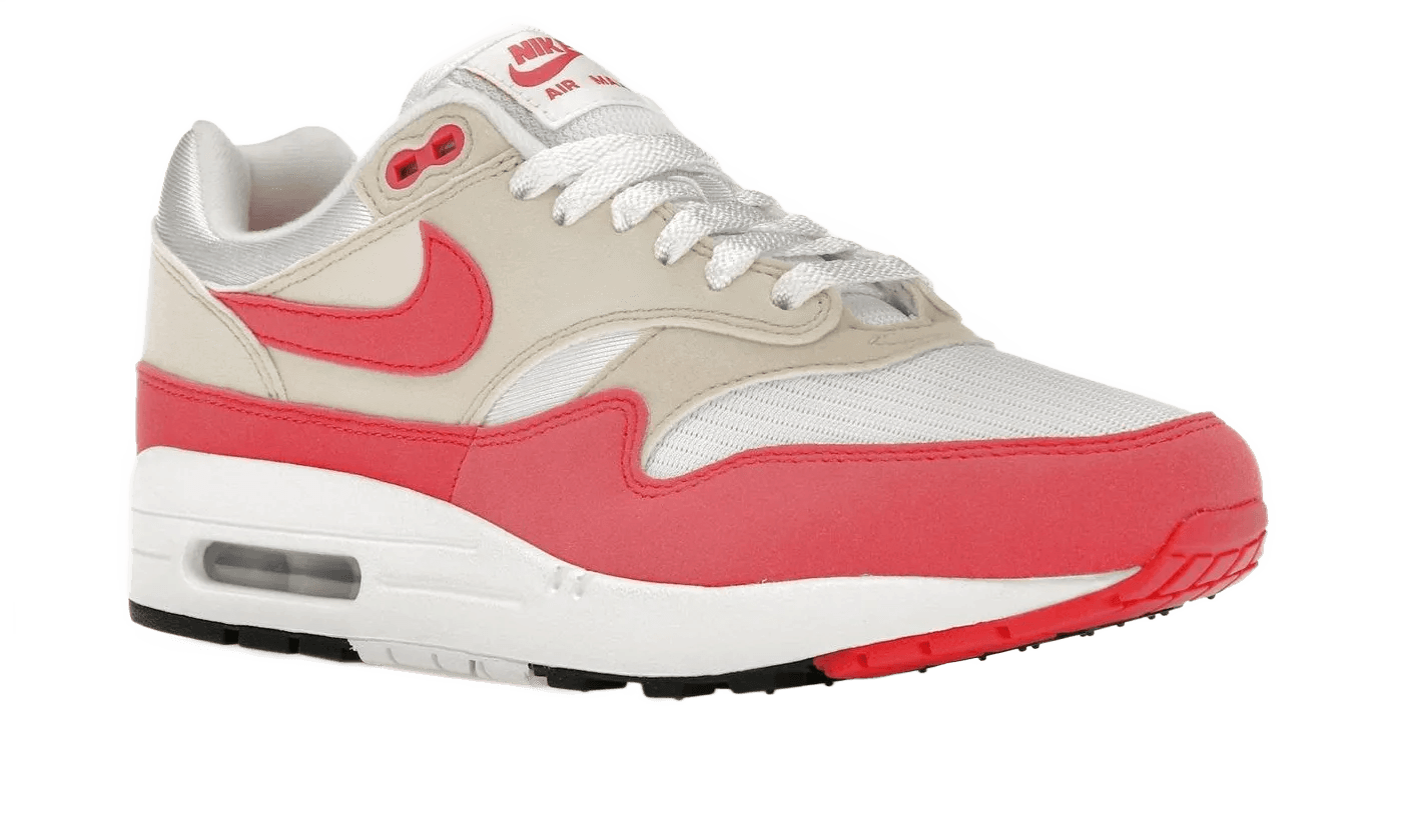 Nike Air Max 1 Aster Pink - DZ2628-110