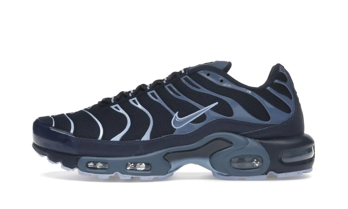Nike Air Max Plus Obsidian Aluminum - IM6601-451