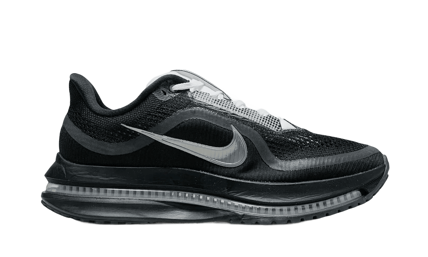 Nike Air Zoom Pegasus Premium SP Black Metallic Silver - IH4369-001